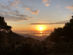 【神戸】ロープウェイで山にあがって”初日の出”を見よう！｜神戸布引ハーブ園