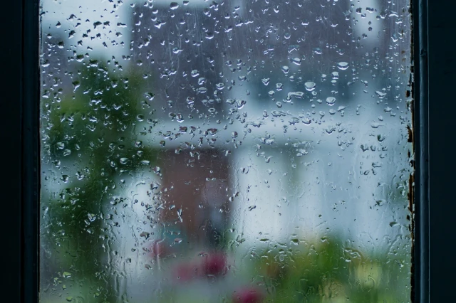 雨