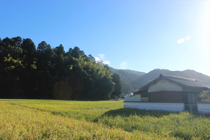 【小規模分散型旅行】1泊2日のお出かけドライブコースで丹波篠山の自然を満喫！
