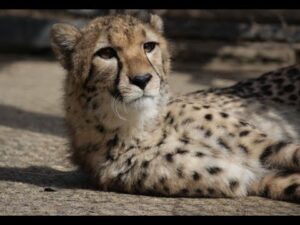 姫路セントラルパーク