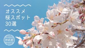 【神崎郡】定番から穴場までオススメ桜スポット30選｜神河町・市川町・福崎町