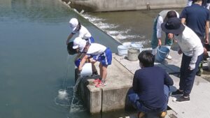 【市川町】さかないっぱいの岡部川になーれ｜岡部川へウナギの放流体験