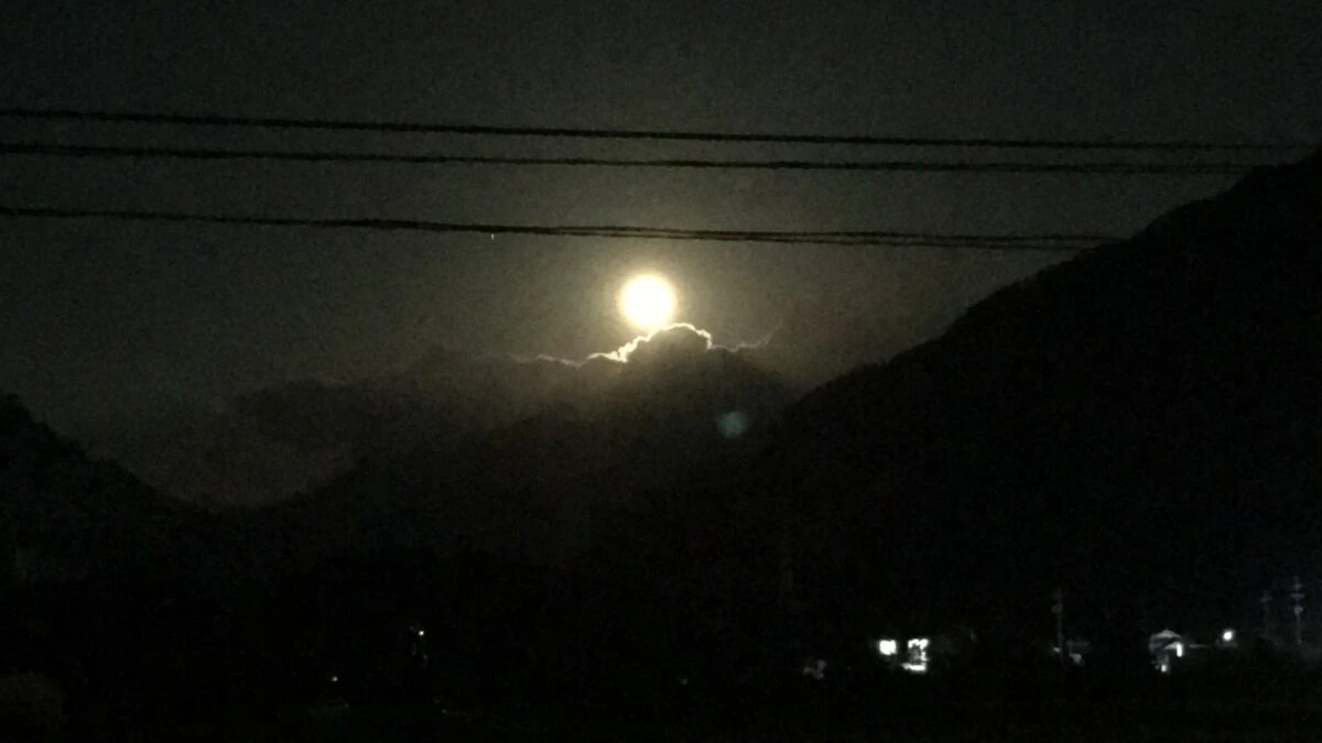 あさご夏祭り