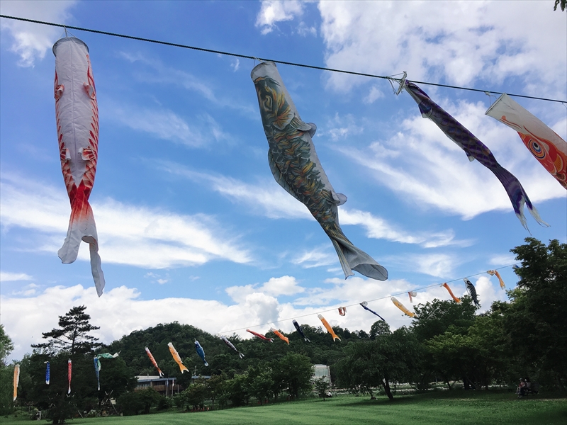 【加西市】鯉鯉（コイコイ）まつりとバラ園｜兵庫県立フラワーセンター