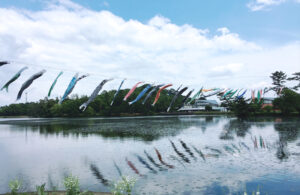 【加西市】鯉鯉（コイコイ）まつりとバラ園｜兵庫県立フラワーセンター