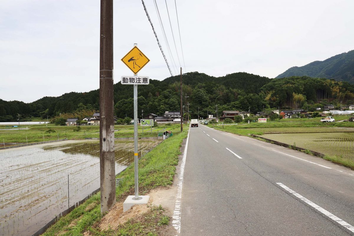 朝来市 コウノトリ注意 警戒標識を設置 いいものタウン 兵庫県まんなかエリアのトレンドニュース 朝来市 コウノトリ注意 警戒標識を設置 いいものタウン 兵庫県まんなかエリアのトレンドニュース