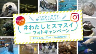【スマスイ】想い出をシェア！「インスタグラムフォトキャンペーン」を開催