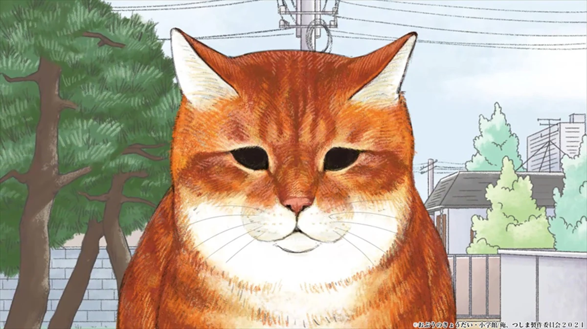 俺 つしま 人気リアル猫漫画が7月2日 Tvアニメ放送開始 いいものタウン 兵庫県まんなかエリアのトレンドニュース