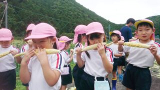 【市川町】生でガブッ！笠形コーンもぎとり体験が開催
