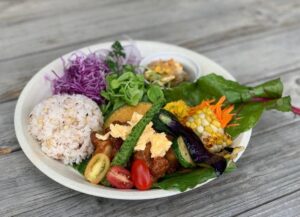 【加西市】限定20食、日替りランチプレート｜えぇもん王国﻿