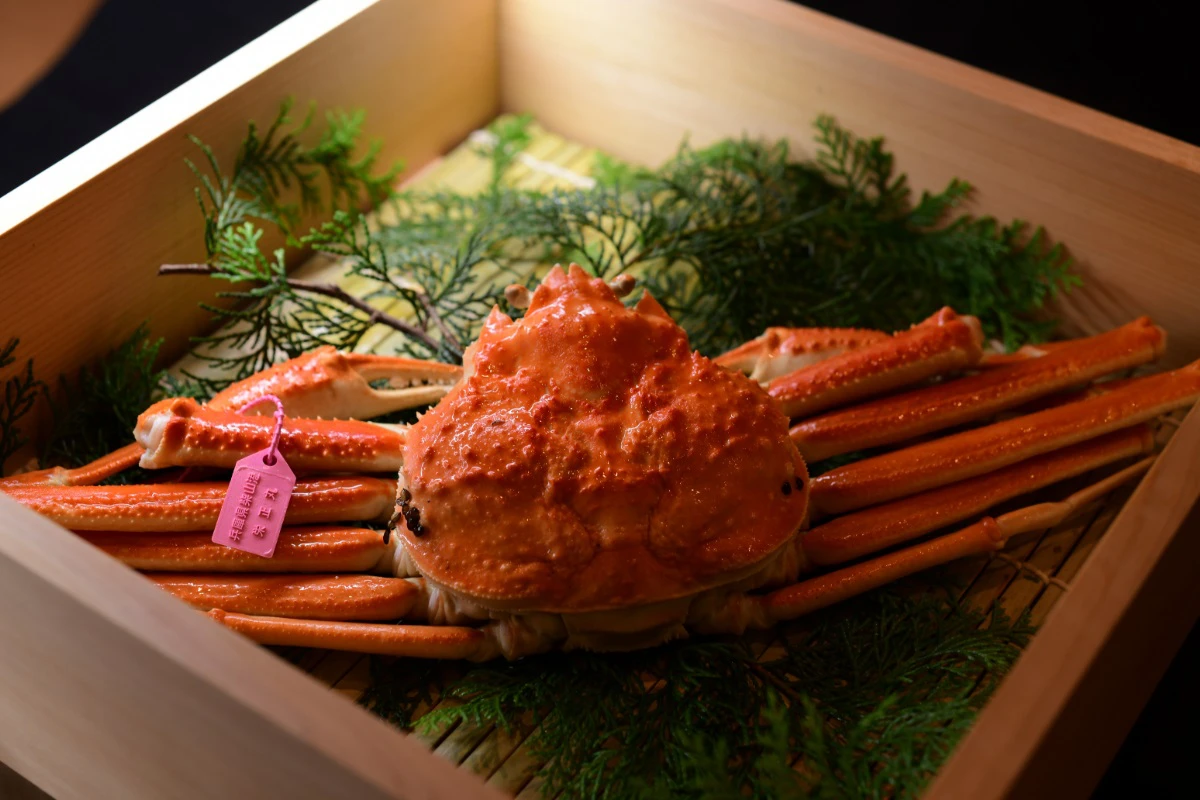 【香美町】ラグジュアリー旅館「ICHIJO」グランドオープン｜伝統と、魚介と、温泉と