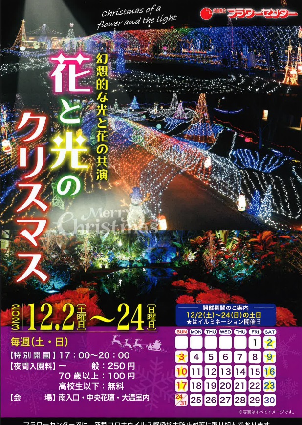 兵庫県立フラワーセンター 「花と光のクリスマス」2023