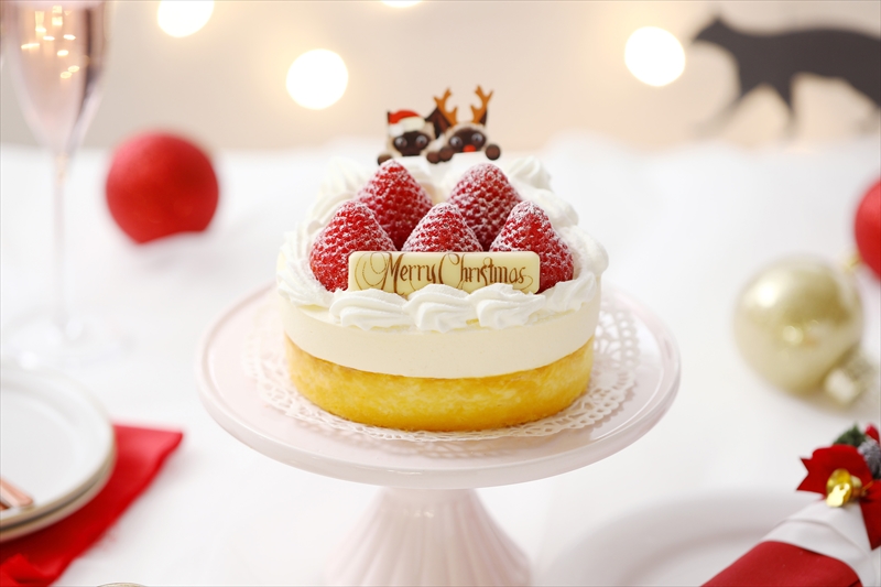【クリスマス】ねこねこチーズケーキが11月よりクリスマスケーキの予約を開始