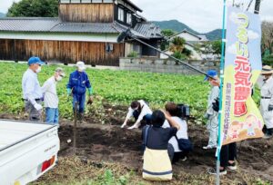 【サンテレビ】つるい元気農園、サツマイモ芋ほりの様子など紹介｜はりまサタデー9