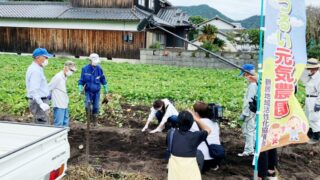 【サンテレビ】つるい元気農園、サツマイモ芋ほりの様子など紹介｜はりまサタデー9