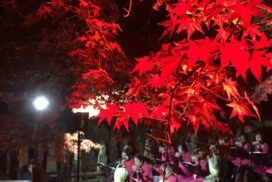 【五百羅漢】羅漢寺で紅葉ライトアップとミニコンサート｜加西市