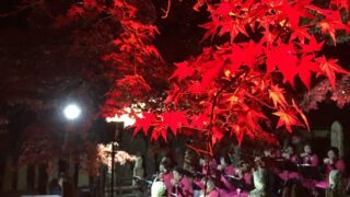 【五百羅漢】羅漢寺で紅葉ライトアップとミニコンサート｜加西市