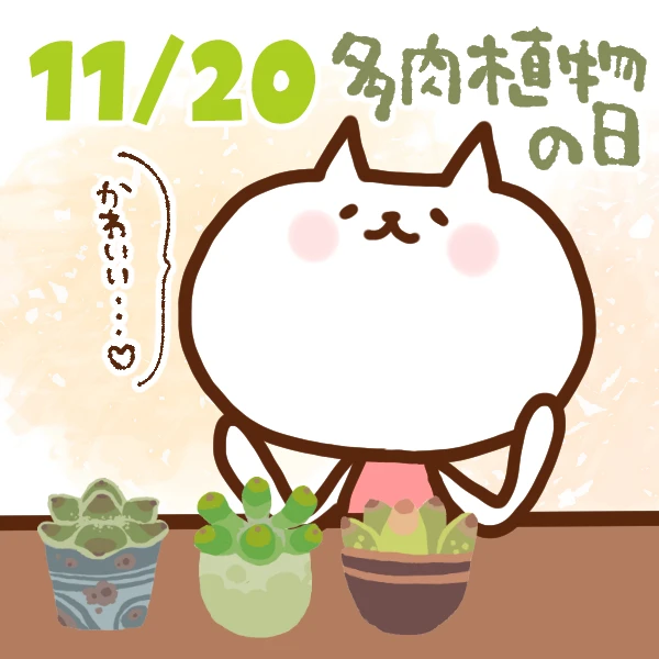 今日はなんの日 11月日 多肉植物の日 いいものタウン 兵庫県まんなかエリアのトレンドニュース