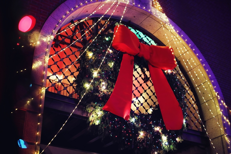 【神戸】「クリスマスイルミネーション点灯セレモニー」が11月13日から開催｜神戸布引ハーブ園