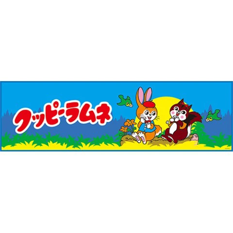 【ヴィレヴァン】駄菓子好き必見！お菓子のパッケージが可愛い『駄菓子グッズ特集』