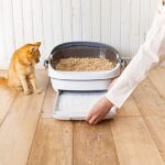 【猫の日】愛猫家に聞く！ 「猫様とのくらし」に関する調査を実施