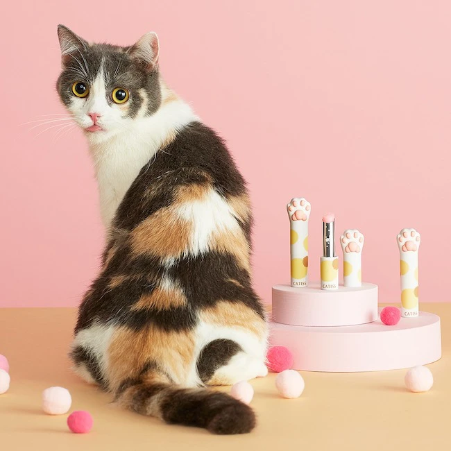 【猫の日】くすっと笑ってほっこり癒されるユニークな猫アイテムが大集合