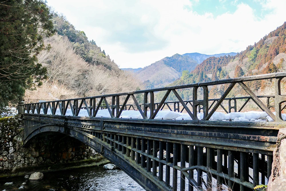 【朝来市】ミツマタの開花、間近に。神子畑選鉱場跡