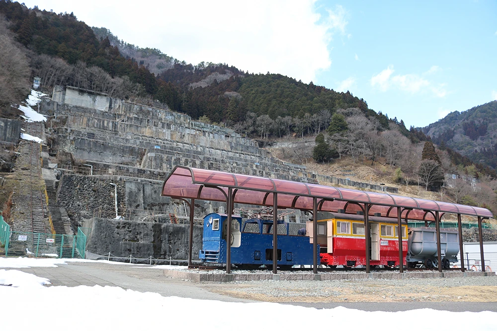 【朝来市】ミツマタの開花、間近に。神子畑選鉱場跡