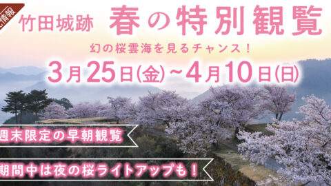 「竹田城跡 春の特別観覧」開催。幻の桜雲海見よう！朝来市