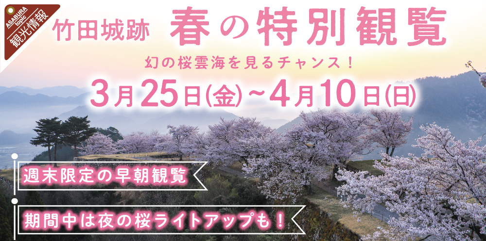 「竹田城跡 春の特別観覧」開催。幻の桜雲海見よう！朝来市