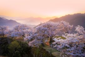 【朝来市】閉山期間を終え、春を迎える竹田城跡。開山日にイベント開催