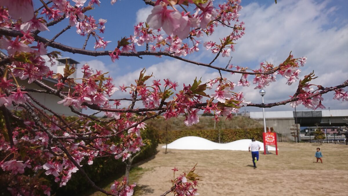 福崎町に新たな遊び場「ふわふわドーム」完成