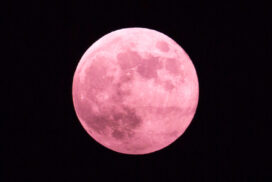 今宵は満月「ピンクムーン」各地でお月見日和