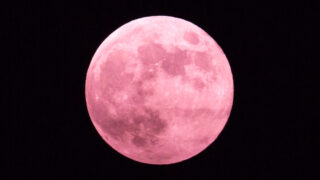 ピンクムーン