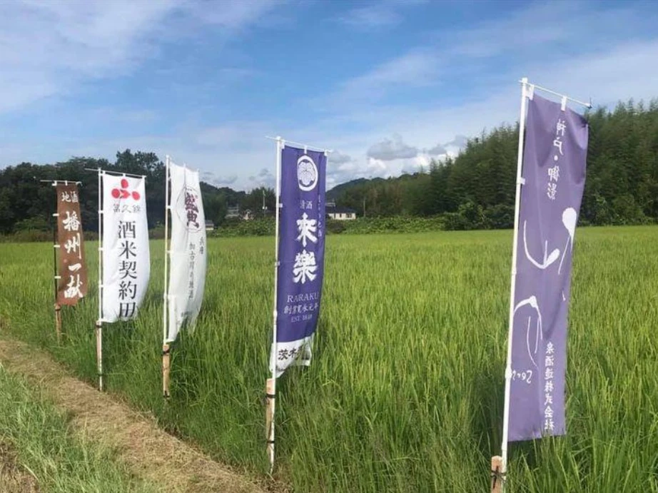 純米吟醸生「五蔵一田」