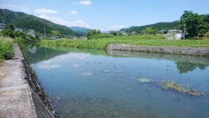 岡部川 市川水系
