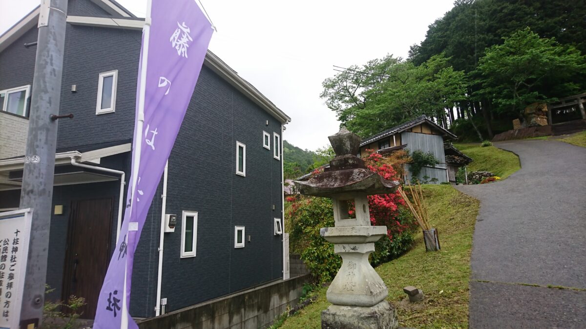「虎と藤と」藤棚が見ごろに。小雨ふる十柱神社 - 市川町