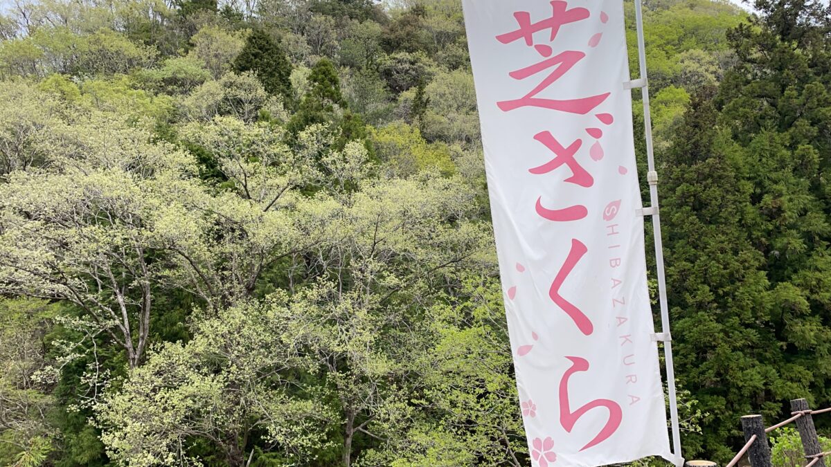 【姫路市】ヤマサ「芝桜の小道」21万株のシバザクラのじゅうたん