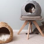 猫と暮らす快適インテリア。天然素材で編んだ「ペットハウス」が発売