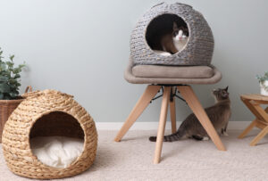 猫と暮らす快適インテリア。天然素材で編んだ「ペットハウス」が発売