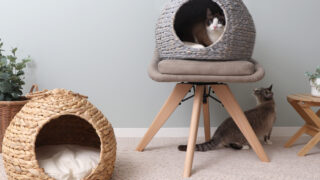 猫と暮らす快適インテリア。天然素材で編んだ「ペットハウス」が発売