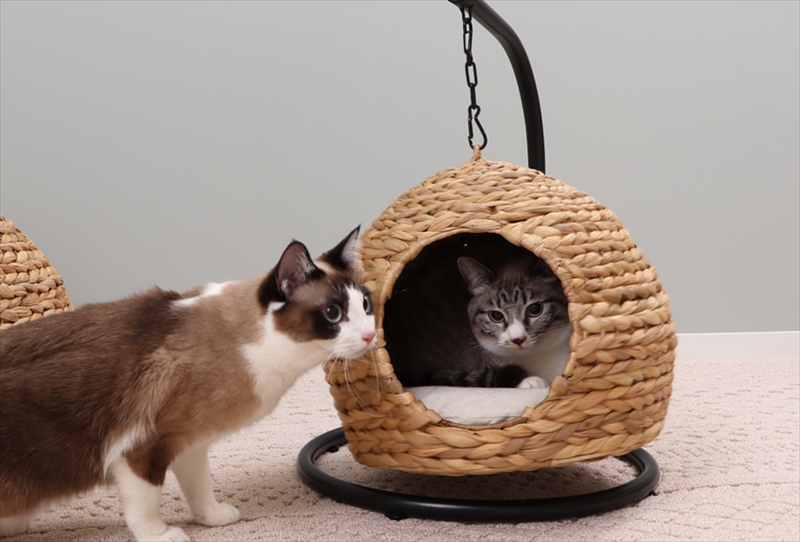 猫と暮らす快適インテリア。天然素材で編んだ「ペットハウス」が発売