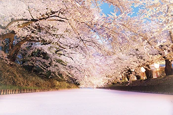 一度は行ってみたい花絶景ランキング発表！｜じゃらん