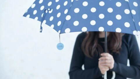 梅雨グッズ 雨の日の車でのお出かけに便利な 傘専用マグネットストラップ Choito ちょいと がリニューアル いいものタウン 兵庫県 まんなかエリアのトレンドニュース
