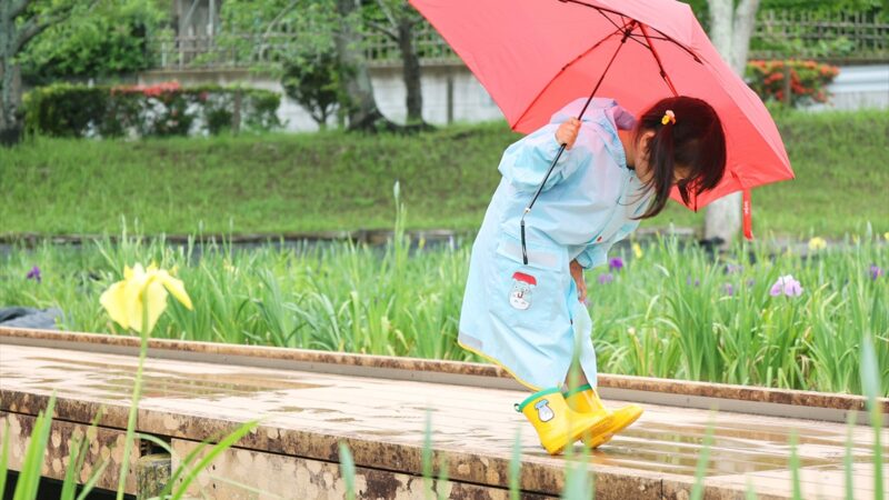 【梅雨グッズ】雨の日のメイちゃんをイメージしたキッズ用レインウェアが、6月11日(土)より順次発売｜ジブリがいっぱい どんぐり共和国