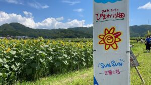 南光ひまわり畑
