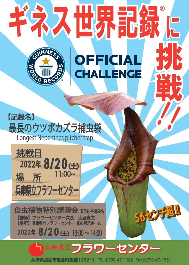 「最長のウツボカズラ補虫袋」ギネス世界記録に認定。県立フラワーセンター