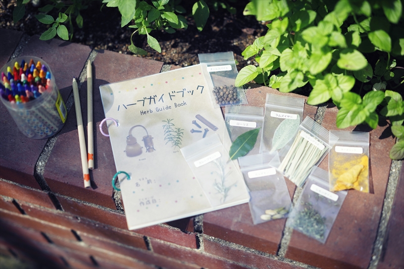 【神戸市】夏休みの自由研究は「ハーブ」を使った「ハーブ図鑑」で少しおしゃれに｜神⼾布引ハーブ園