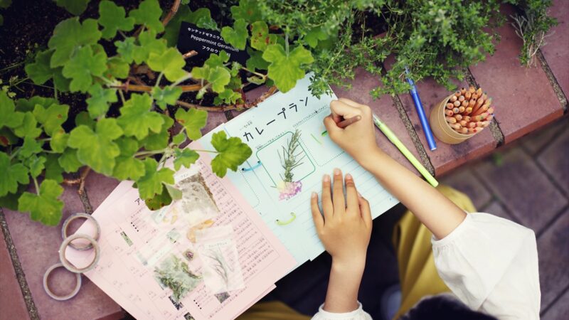 【神戸市】夏休みの自由研究は「ハーブ」を使った「ハーブ図鑑」で少しおしゃれに｜神⼾布引ハーブ園