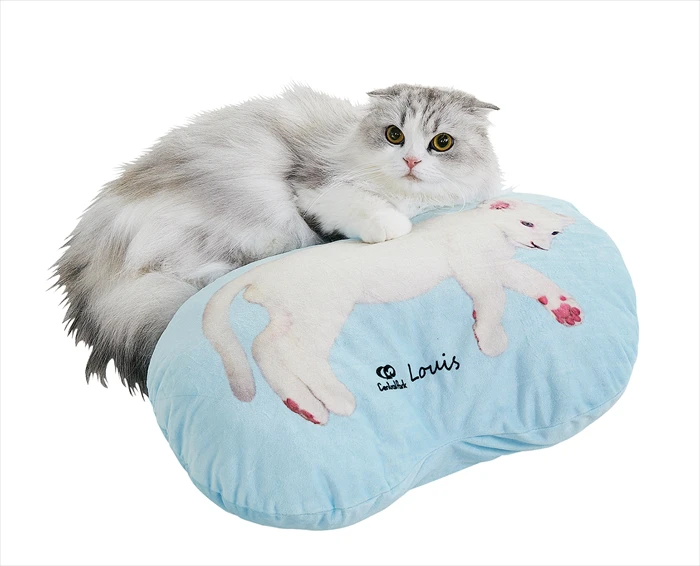 【姫セン】大人気の動物たちがペット用グッズに！ 姫センとペット用品通販ペピイがコラボ